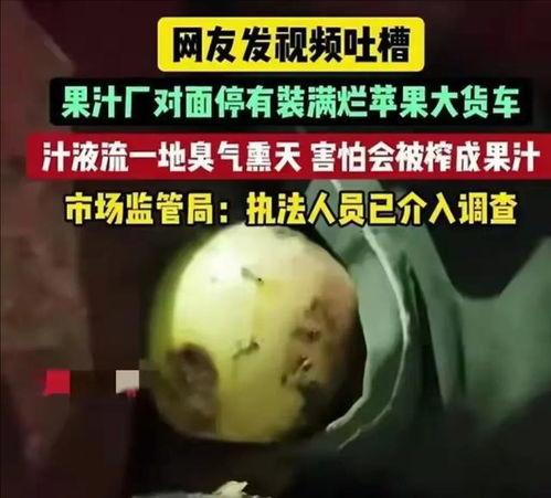 香港大瓜爆料视频大全,揭秘娱乐圈幕后真相