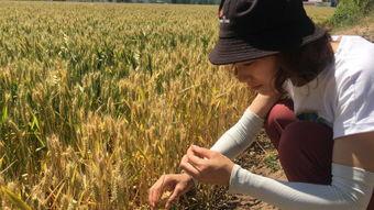 麦子的视频爆料是真的吗,麦子视频爆料真实性揭秘