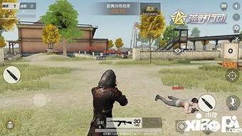 荒野奋斗最新爆料,揭秘生存挑战背后的真实故事