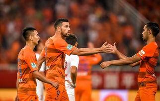 鲁能运作爆料最新消息,揭秘运作背后的独家爆料