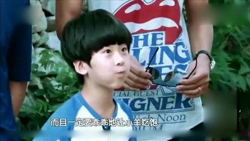 娱乐八卦爆料记解说,明星幕后故事大曝光