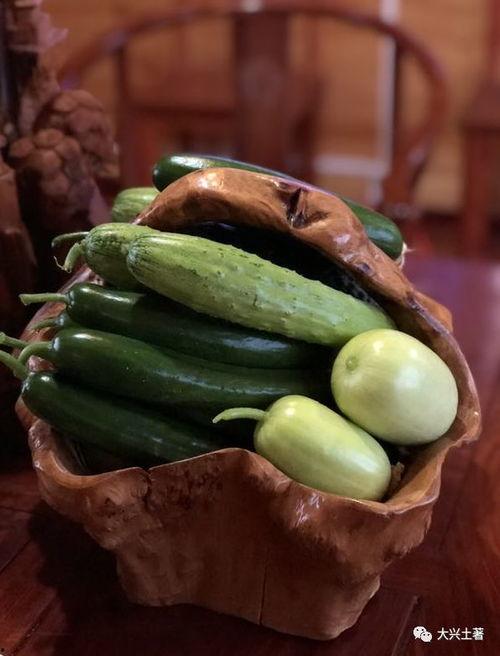 近期网红吃瓜网站是什么,近期火爆网红吃瓜网站，热门事件一网打尽！