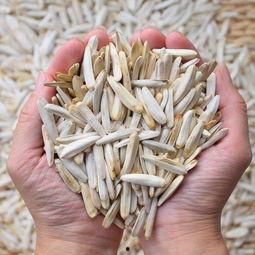 新疆新瓜子最新爆料,揭秘行业新动态与市场新趋势