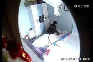 网友爆料保姆事件视频播放,一场家庭悲剧引发的深思
